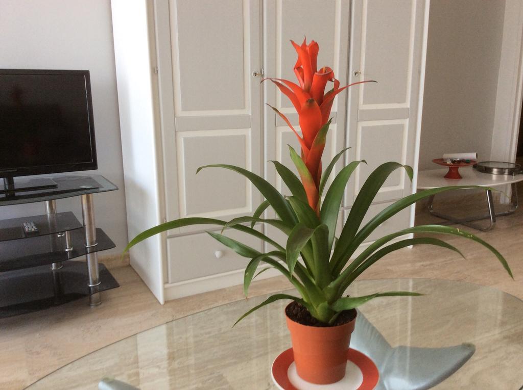 Appartement Dolce Vita Cagnes-sur-Mer Cameră foto